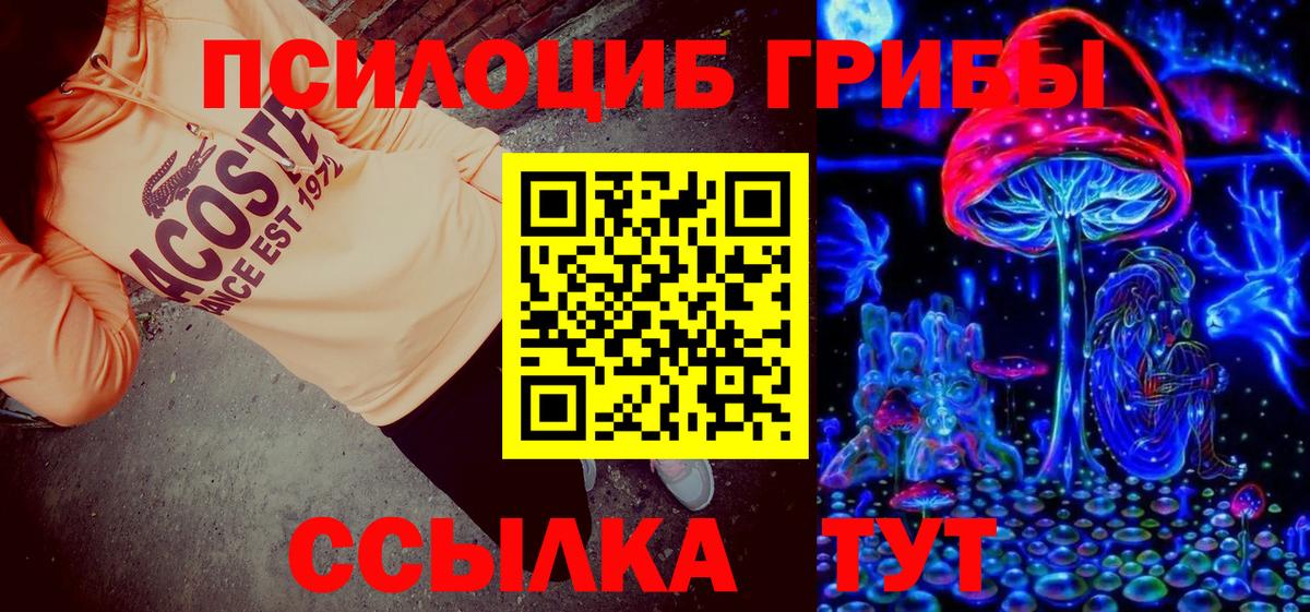 Искитим  Псилоцибиновые грибы мухоморы  Вход с VPN 