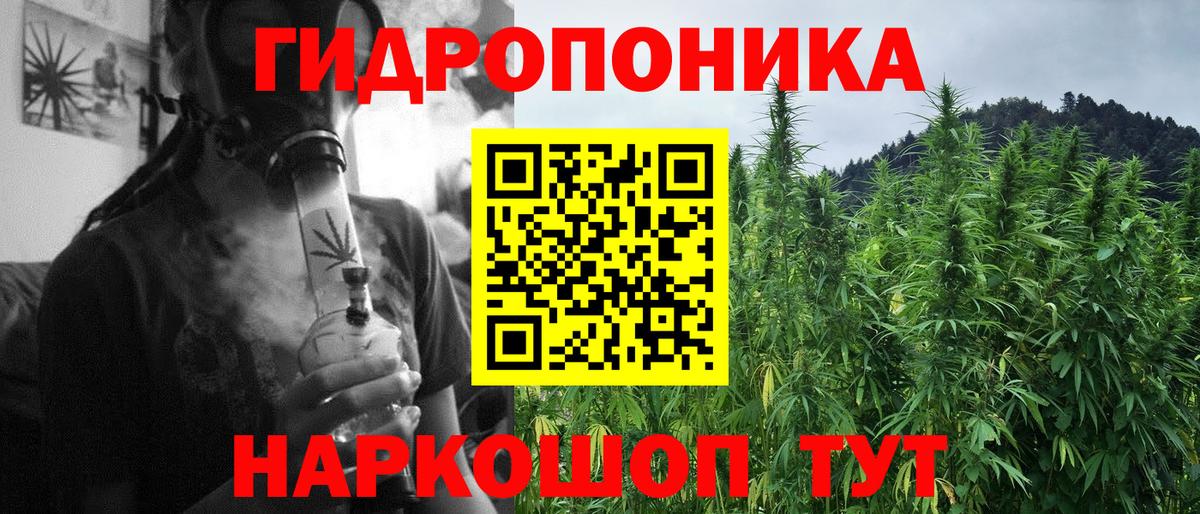 Конопля план  Канабис LSD WEED  Вход с VPN  Искитим  Бошки марихуана конопля  Марихуана гибрид 